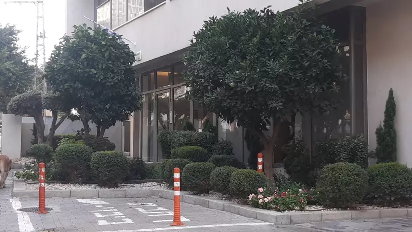 עיצוב ותחזוקת גינה 2